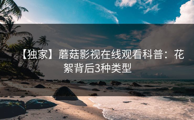 【独家】蘑菇影视在线观看科普：花絮背后3种类型