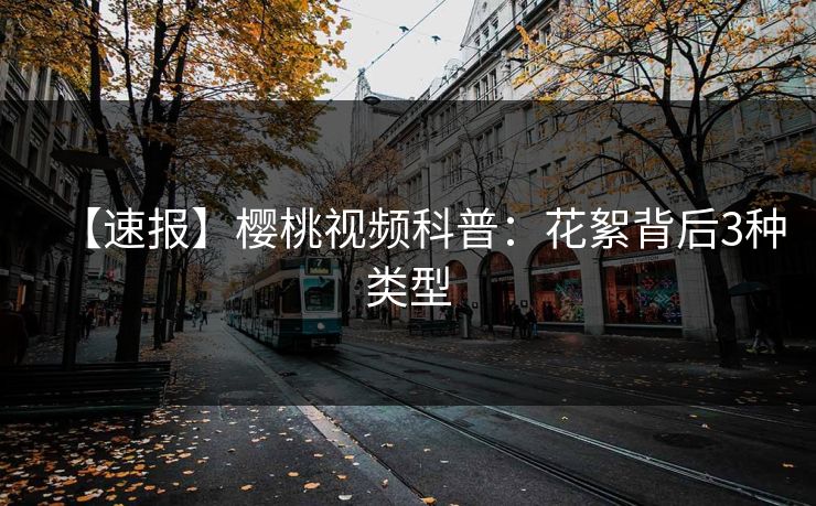 【速报】樱桃视频科普：花絮背后3种类型